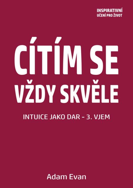 Cítím se vždy skvěle, Intuice jako dar 3. Vjem